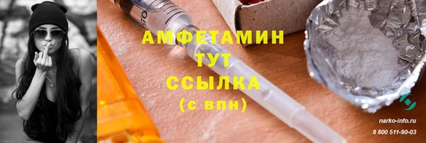 шишки Аркадак