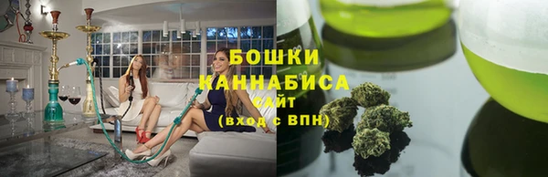 шишки Аркадак