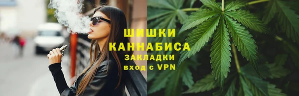 шишки Аркадак
