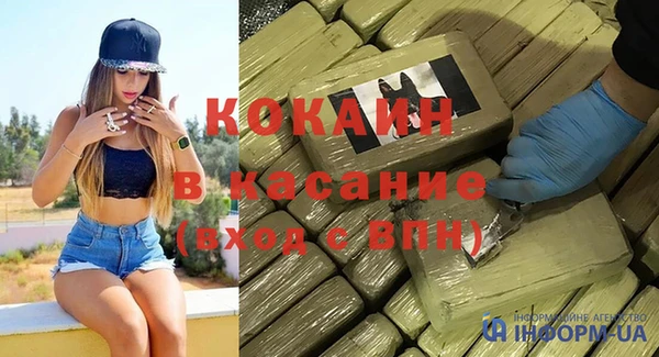 шишки Аркадак
