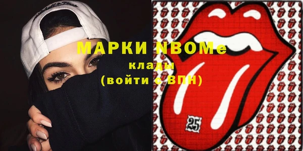 шишки Аркадак